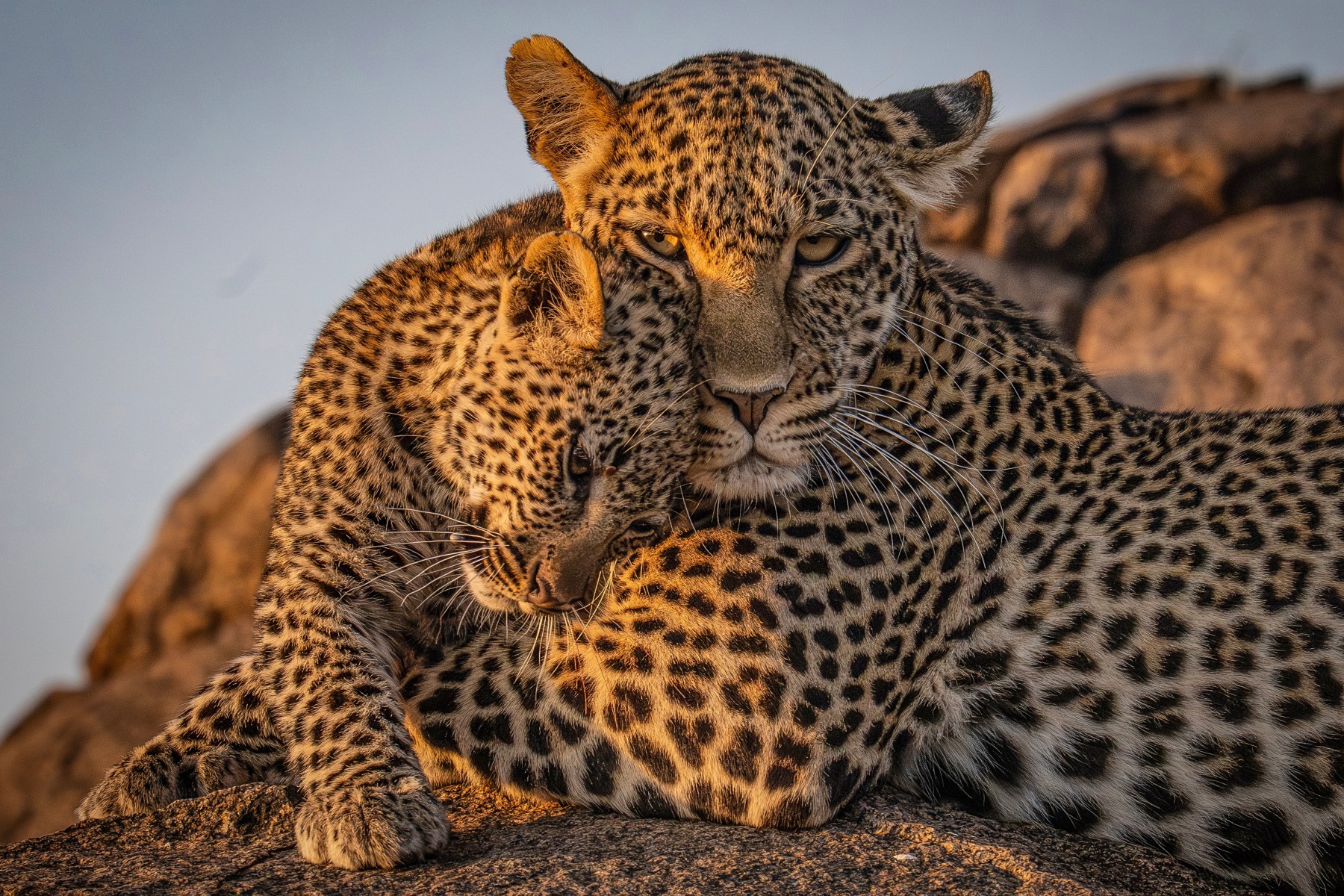 La Tanzanie